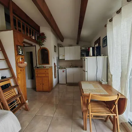 Tatil Evi T2 Climatisee Avec Terrasse Dans La Pinede - Fr-1-607-87
